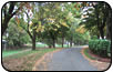 Grounds